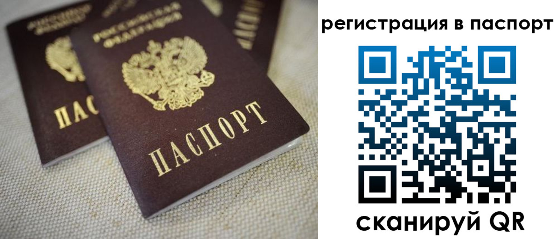 прописка гарантия в Каменск-Шахтинском